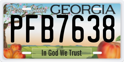GA license plate PFB7638