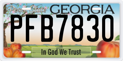 GA license plate PFB7830
