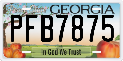 GA license plate PFB7875