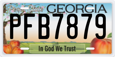 GA license plate PFB7879