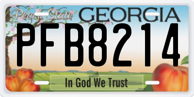 GA license plate PFB8214