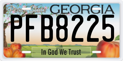 GA license plate PFB8225