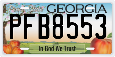 GA license plate PFB8553