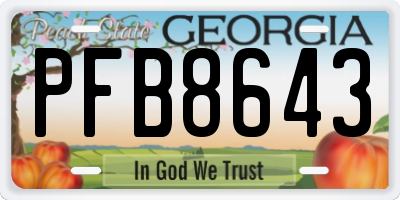 GA license plate PFB8643