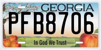 GA license plate PFB8706