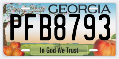 GA license plate PFB8793