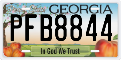GA license plate PFB8844
