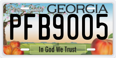 GA license plate PFB9005