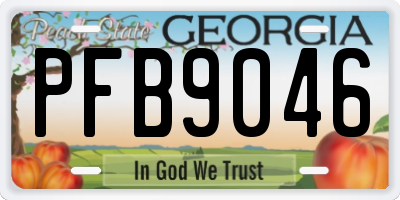 GA license plate PFB9046