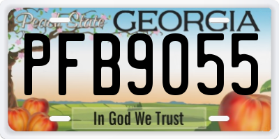 GA license plate PFB9055
