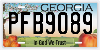 GA license plate PFB9089