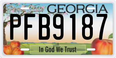GA license plate PFB9187