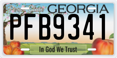 GA license plate PFB9341
