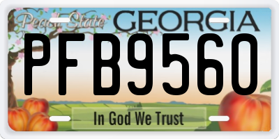 GA license plate PFB9560