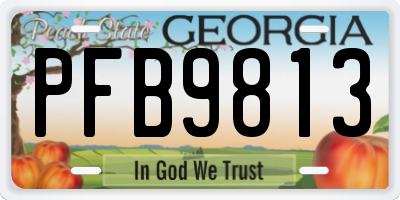 GA license plate PFB9813