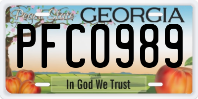 GA license plate PFC0989