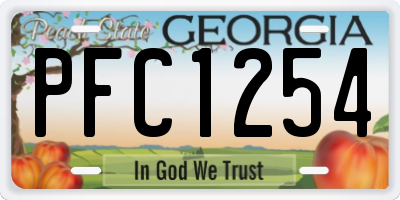 GA license plate PFC1254