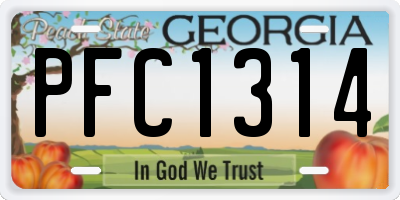 GA license plate PFC1314