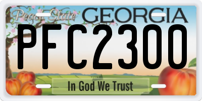 GA license plate PFC2300