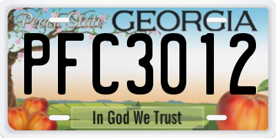 GA license plate PFC3012