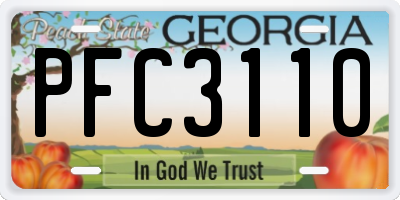 GA license plate PFC3110