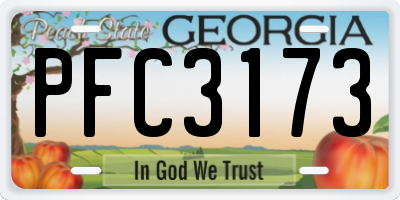GA license plate PFC3173