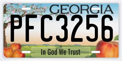 GA license plate PFC3256