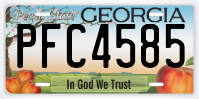 GA license plate PFC4585
