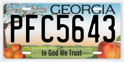 GA license plate PFC5643