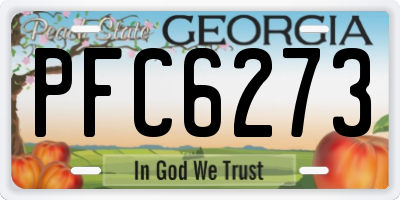 GA license plate PFC6273