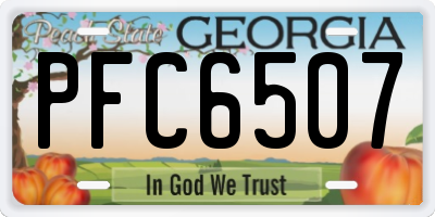 GA license plate PFC6507