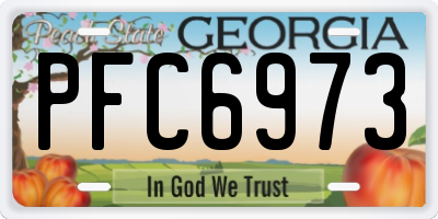 GA license plate PFC6973