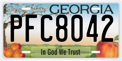 GA license plate PFC8042