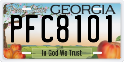 GA license plate PFC8101