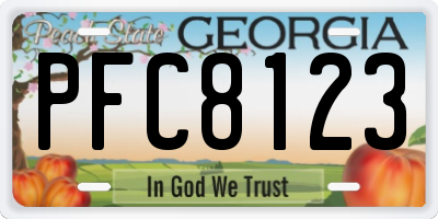 GA license plate PFC8123