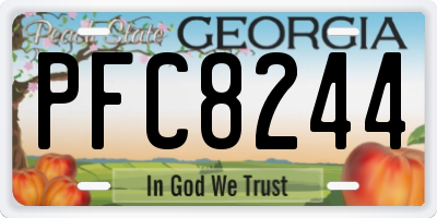GA license plate PFC8244