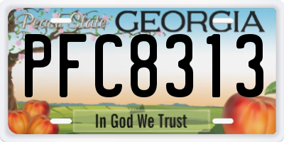 GA license plate PFC8313