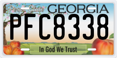 GA license plate PFC8338