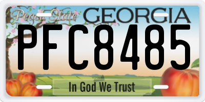 GA license plate PFC8485
