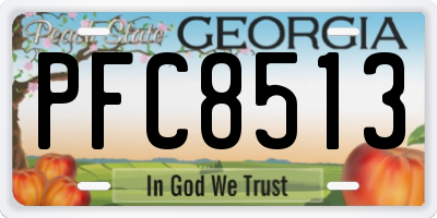 GA license plate PFC8513