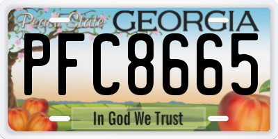 GA license plate PFC8665