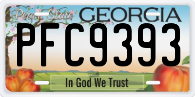 GA license plate PFC9393