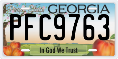 GA license plate PFC9763