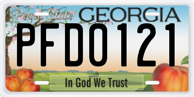 GA license plate PFD0121