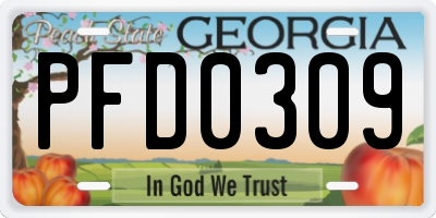 GA license plate PFD0309
