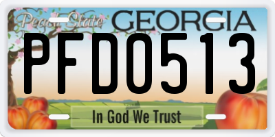 GA license plate PFD0513