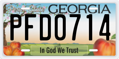 GA license plate PFD0714