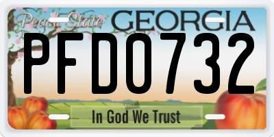 GA license plate PFD0732