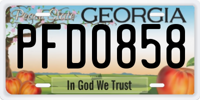 GA license plate PFD0858