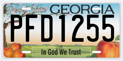 GA license plate PFD1255